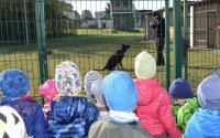 dzieci z  przedszkola „Baśniowa Kraina” w Tomaszowie Lubelskim przy wybiegu dla psów