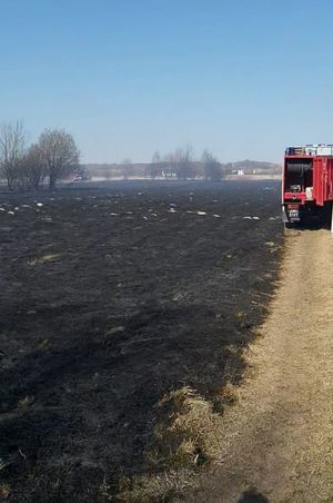 pogorzelisko po pożarze trwa