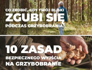 napis 10 zasad bezpiecznego grzybobrania