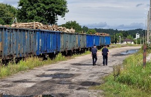 patrol dwóch policjantów, obok wagony z drewnem