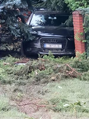 audi między drzewem a ogrodzeniem posesji