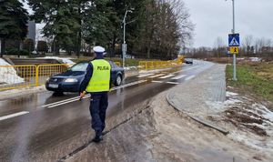 policjant kontroluje pojazd