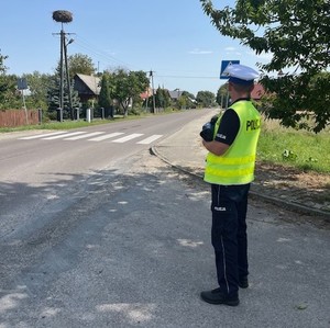 Kontrola drogi