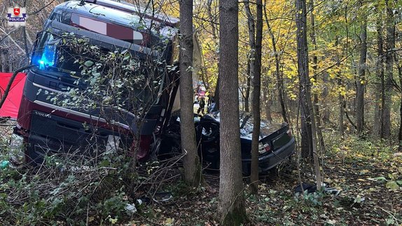pojazdy w lesie po zderzeniu drogowym