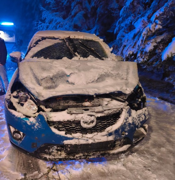 uszkodzony samochód na który spadło drzewo