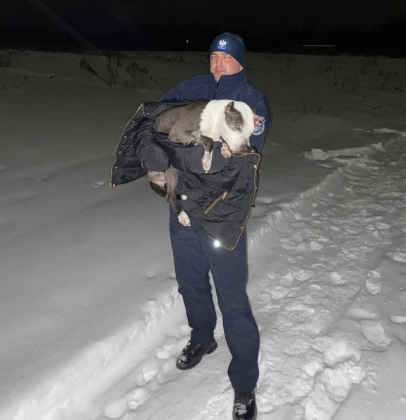 policjant trzyma na rękach psa