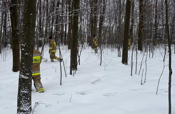 strażacy podczas poszukiwań